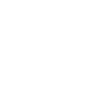 transparent_logo_white